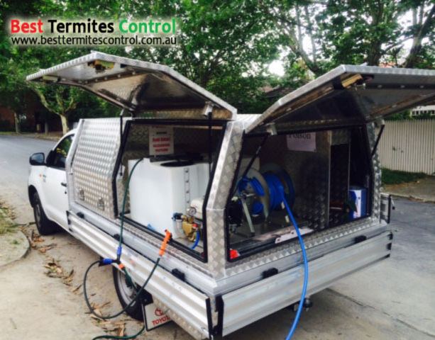  Termites Inspection in Doncaster